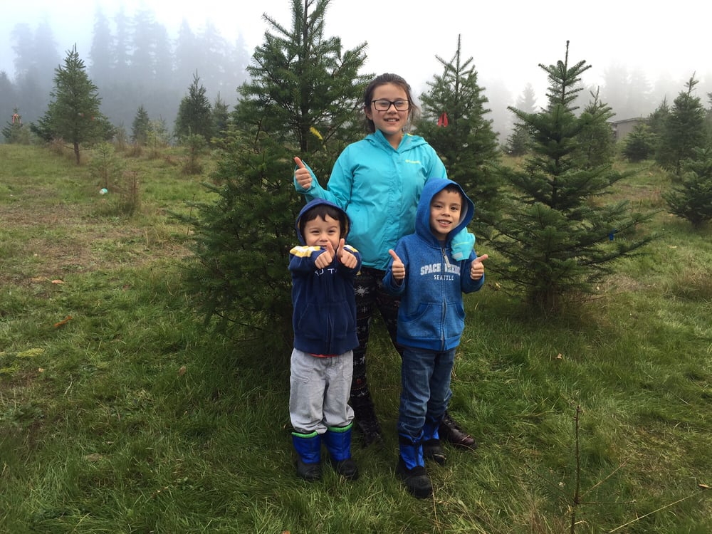 GREEN ACRES CHRISTMAS TREE FARM 22 Photos 11025 36th St E, Edgewood