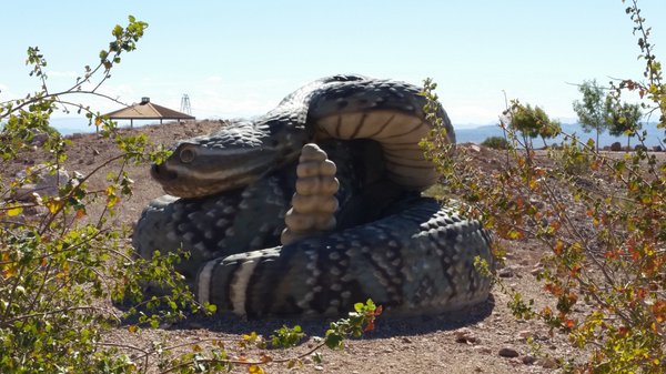 Bootleg Canyon by null