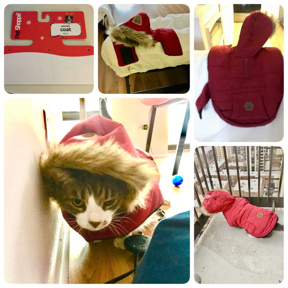 Walgreens - Cat/Dog-Small Sized Winter Coat! 2020 - Drugstores Near Me - Chicago, Illinois Walgreens - Cat/Dog-Small Sized Winter Coat! 2020 - Drugstores Near Me - Chicago, Illinois