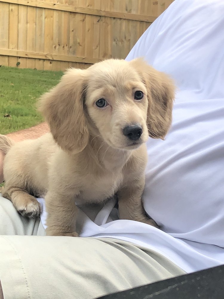 HICKORY FLAT ANIMAL HOSPITAL Updated August 2024 11 Reviews 2939 E Cherokee Dr, Canton