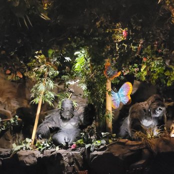 Rainforest Cafe - American Near Me - Ontario, California Rainforest Cafe - American Near Me - Ontario, California