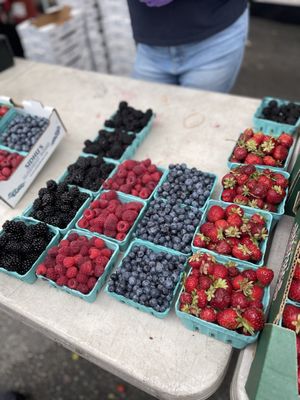 Issaquah Farmers Market by null