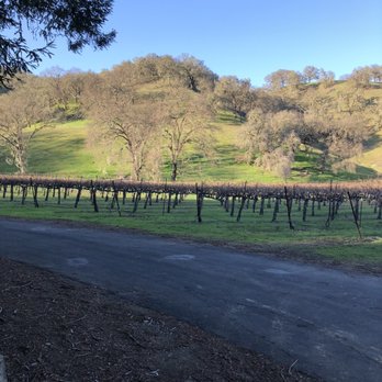 Nelson Family Vineyards - View from the redwood grove - Wineries Near Me - Ukiah, California Nelson Family Vineyards - View from the redwood grove - Wineries Near Me - Ukiah, California