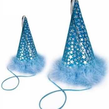 Foofie Poochies - birthday party hat - Pet Groomers Near Me - Hoboken, New Jersey