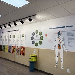 The Landing Dispensary - Education wall, The Landing Dispensary - Huntington, West Virginia