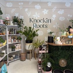 Knockin Roots Plant Co.