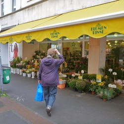 Blumen Risse
