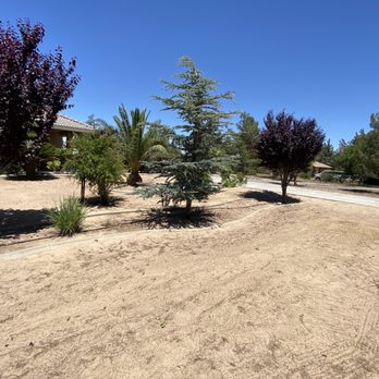Mason's Treescape - So happy with their work and cleanup! - Tree Services Near Me - Hesperia, California Mason's Treescape - So happy with their work and cleanup! - Tree Services Near Me - Hesperia, California