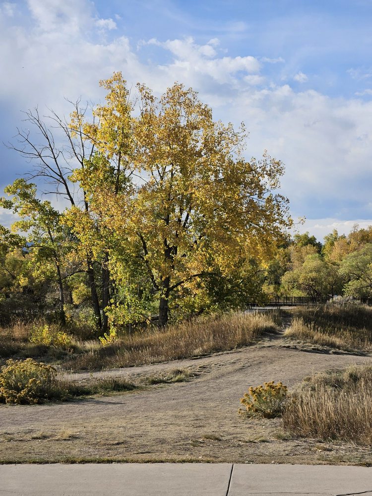 Social spots from Belmar Park