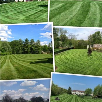Kanui Soto - Quality and professional - Landscaping Near Me