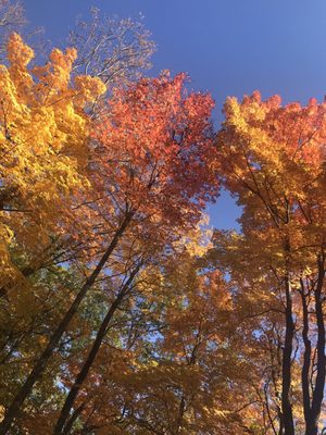 Mt Ascutney by null