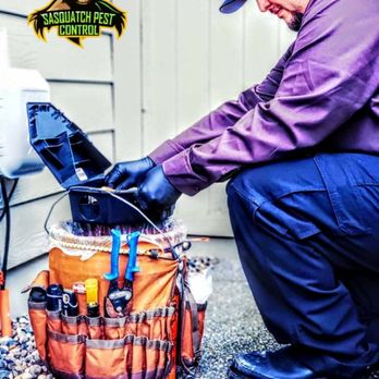 Sasquatch Pest Control - Changing bait stations - Pest Control Near Me - Bellingham, Washington Sasquatch Pest Control - Changing bait stations - Pest Control Near Me - Bellingham, Washington