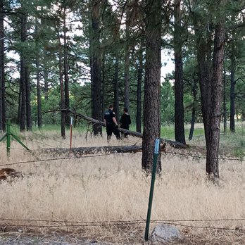 Flagstaff KOA - Summit meeting. - RV Parks Near Me - Flagstaff, Arizona