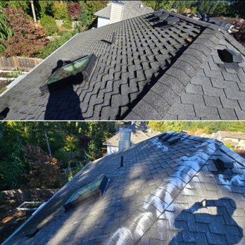 Seatown Pro Wash - Cleaned roof - Pressure Washers Near Me Seatown Pro Wash - Cleaned roof - Pressure Washers Near Me