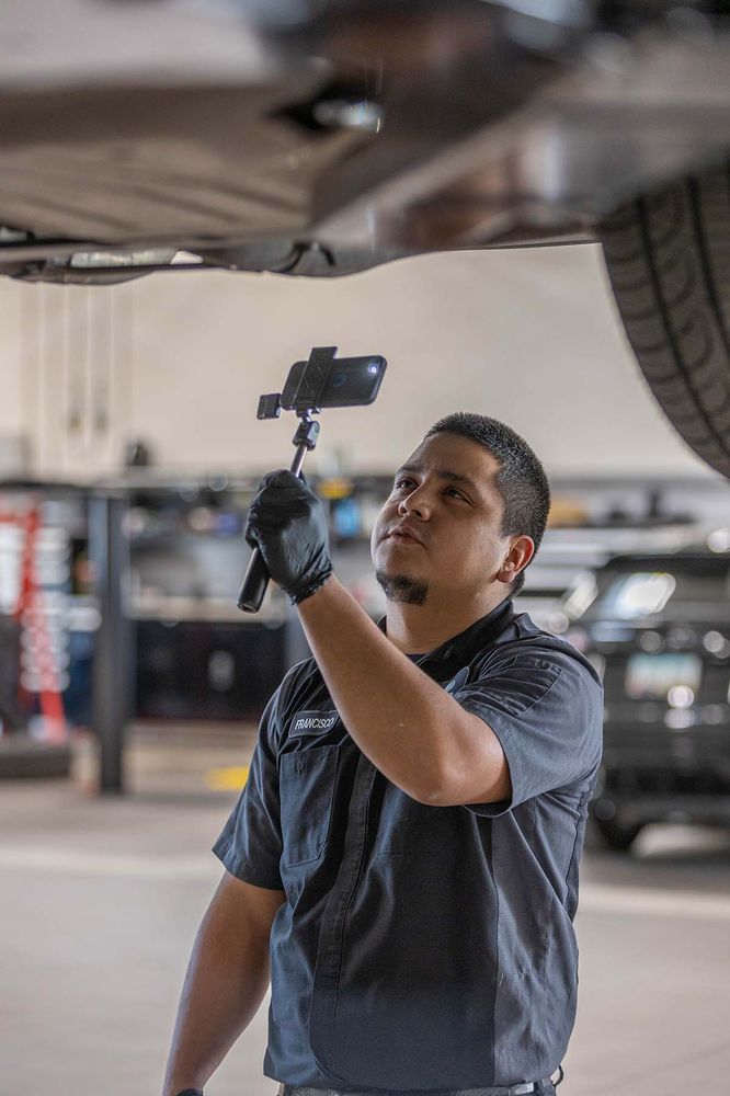 JAGUAR ARROWHEAD Updated September 2024 641 Photos & 18 Reviews