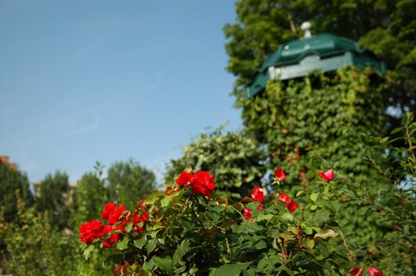 Square du Vert-Galant by null