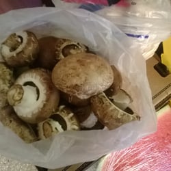 Expo Frut - Hongos y portovelos para tus platos!