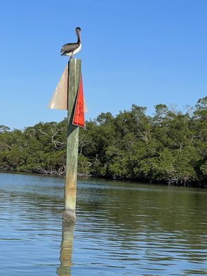 Rising Tide Explorers by null