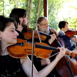 Rock Creek Strings