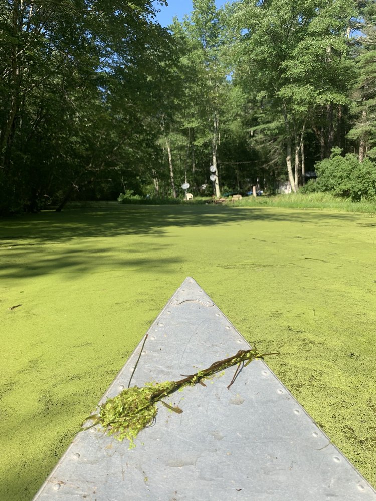 NATURE’S CAMPSITES 26 Photos & 13 Reviews 96 Ekonk Hill Rd