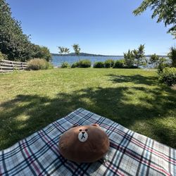 Medina Beach Park