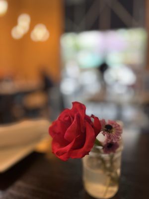Isola Pizza Bar by null