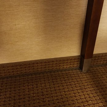 Hilton Chicago O'Hare Airport - Hotels Near Me - Chicago, Illinois