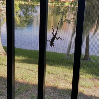 Floridays Resort Orlando - Hotels Near Me - Orlando, Florida