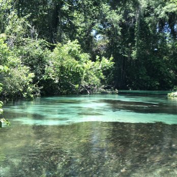 Weeki Fresh Water Adventures - Boating Near Me - Spring Hill, Florida Weeki Fresh Water Adventures - Boating Near Me - Spring Hill, Florida