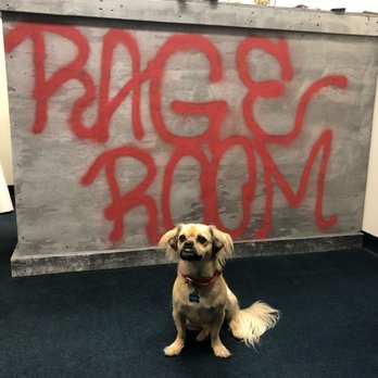 ABQ Rage Room - @Dobby_Pup approves! - Team Building Activities Near Me - Albuquerque, New Mexico