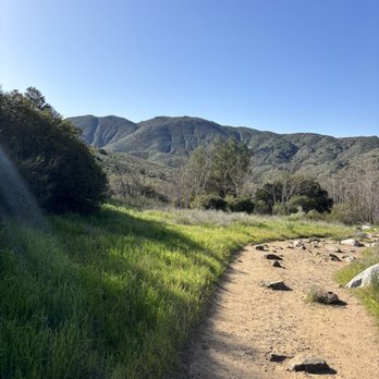 Cedar Creek Falls - Hiking Near Me - Ramona, California Cedar Creek Falls - Hiking Near Me - Ramona, California