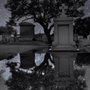 Photo of LeDuke Services