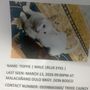 Photo of Find Toto