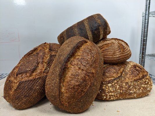 Laune Bread by null