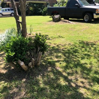 DJ’s Stump Grinding - Very old large ugly bush that was removed. - Tree Services Near Me - Rock Hill, South Carolina DJ’s Stump Grinding - Very old large ugly bush that was removed. - Tree Services Near Me - Rock Hill, South Carolina