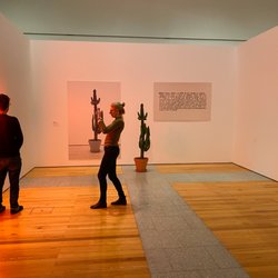 Museu Coleção Berardo