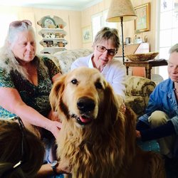 Gloria Kaye, PhD - Dr. Gloria Kaye, Energy Healing Specialist, also offers Energy Healing trainings for pet owners.