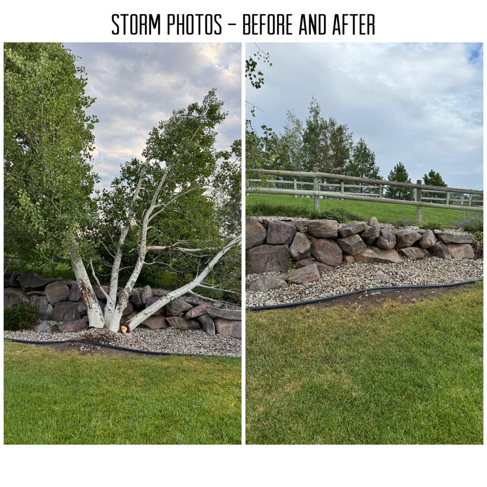 Clark Fork Tree and Shrub - tree service in Missoula, MT