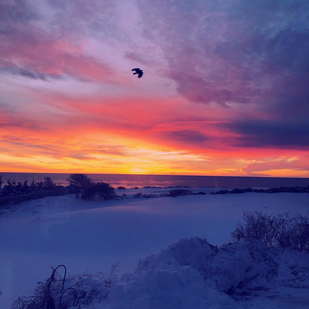 CAPE ELIZABETH SERVICE CENTER 33 Photos 【560 Shore Rd, Cape Elizabeth