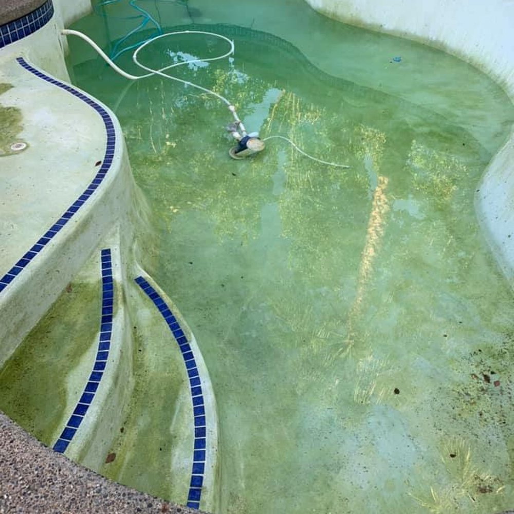 Quality Clear Pools - Immediately started to drain.. - Pool Cleaners Near Me