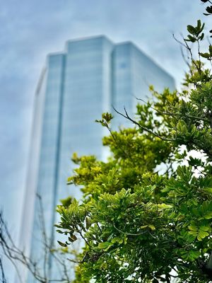 Vineyard cafe by null