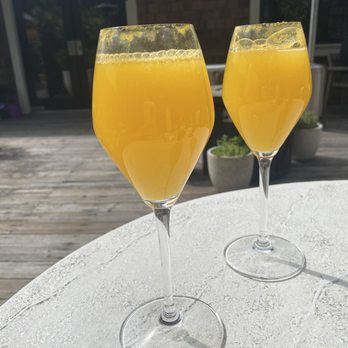 Dawn Ranch - Mimosas with freshly squeezed orange juice - Hotels Near Me - Guerneville, California Dawn Ranch - Mimosas with freshly squeezed orange juice - Hotels Near Me - Guerneville, California