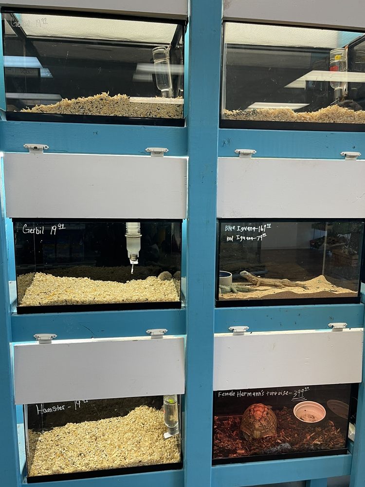 PET ZONE Updated August 2024 1620 Marion Mt Gilead Rd, Marion, Ohio