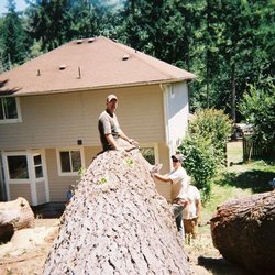 Northwest Tree Service - untitled
