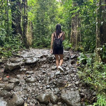 Mānoa Falls Trail - Hiking Near Me - Honolulu, Hawaii
