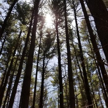 Mill Stream Run Reservation - Parks Near Me