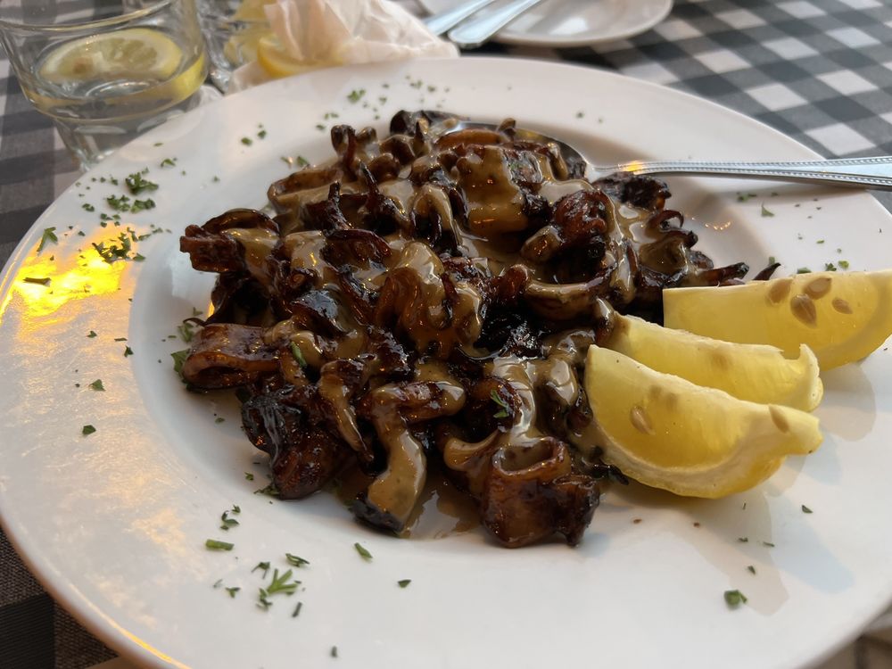 GATTO’S ITALIAN RESTAURANT AND BAR - Updated February 2026 - 65 Photos