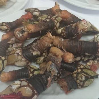 Cervejaria Ramiro - Barnacles - Seafood Near Me - Lisbon, 11