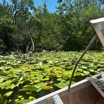 Coopertown Airboats - Lots of lilly pads. - Boat Tours Near Me - Miami, Florida Coopertown Airboats - Lots of lilly pads. - Boat Tours Near Me - Miami, Florida