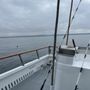 Photo of Blue Horizon Sportfishing